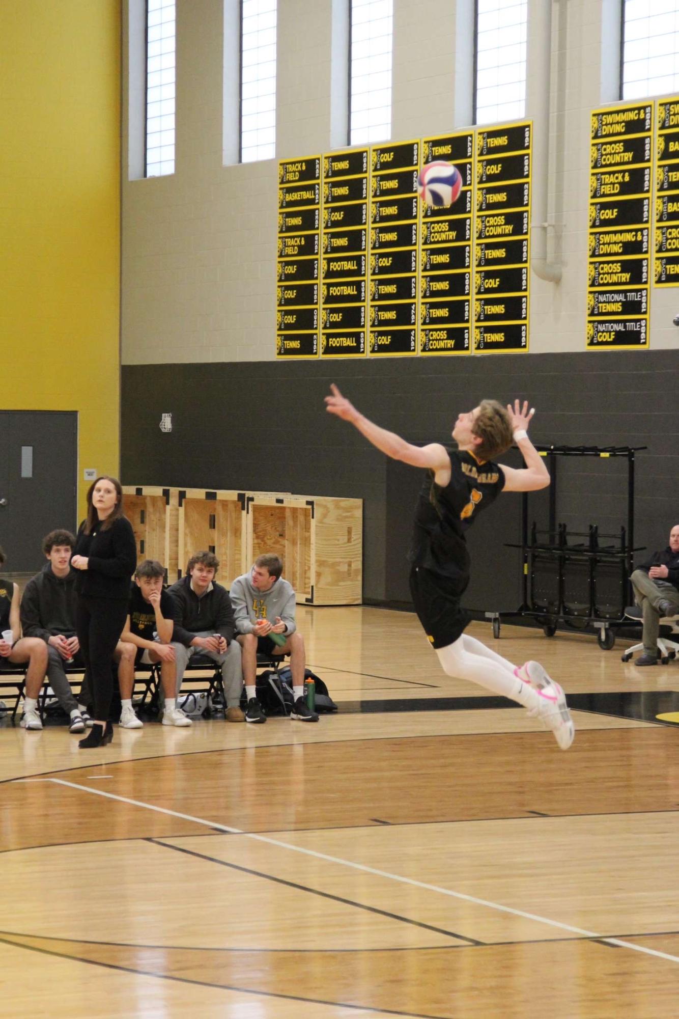 ARL Athlete: Brycen Colombo