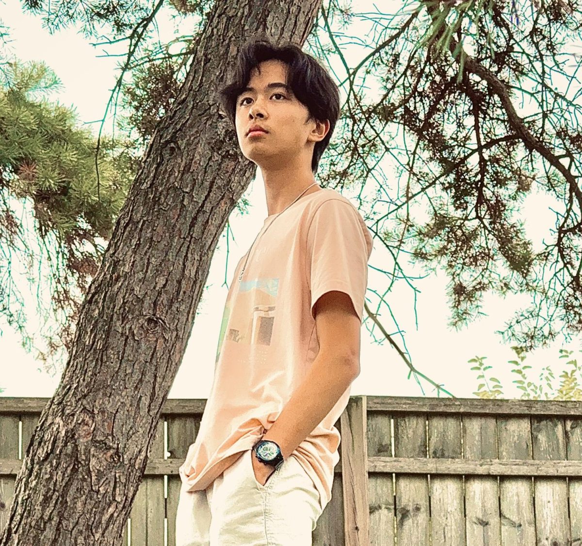 TianLin Zheng