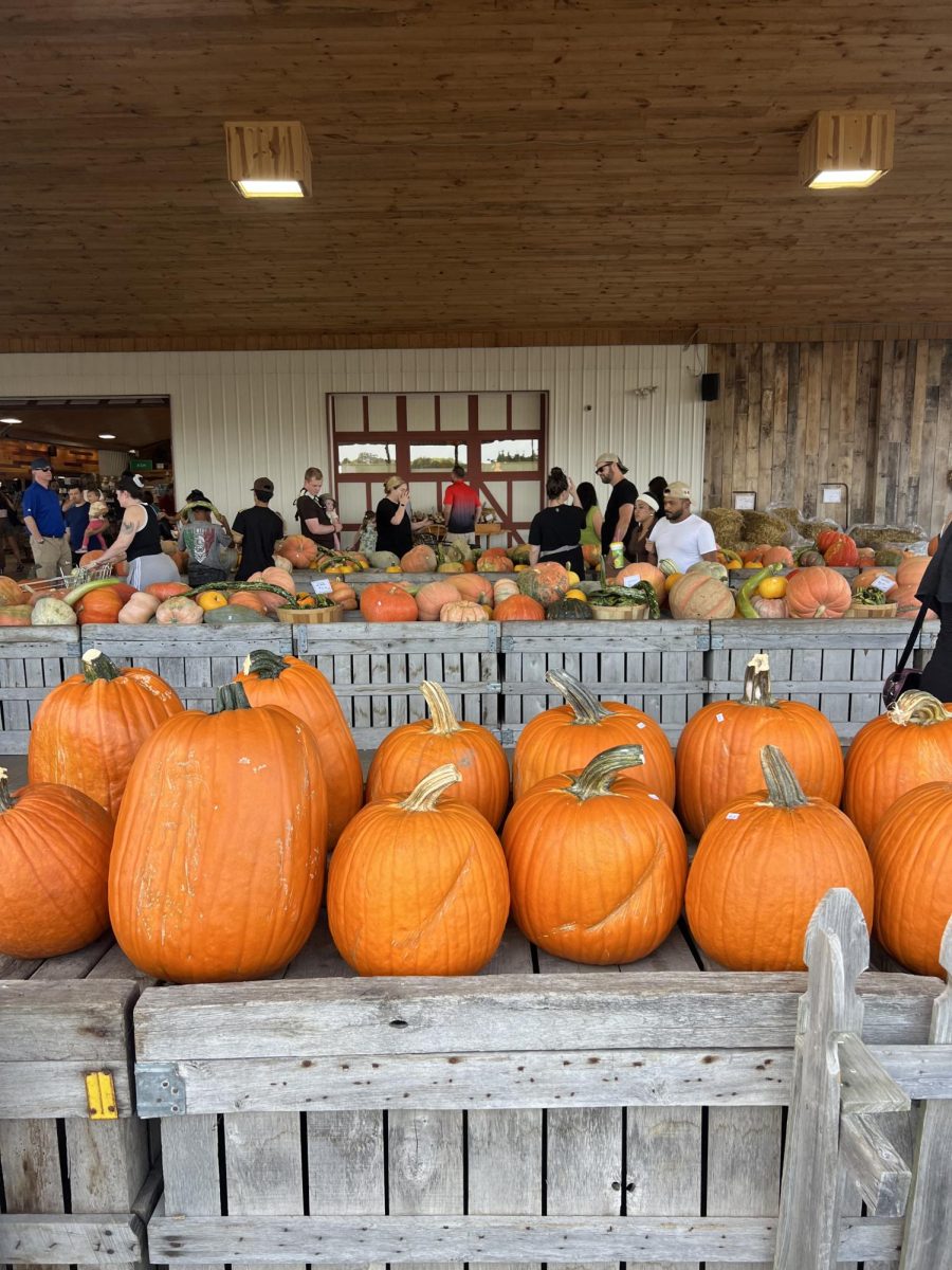 Lynd Farms Festivities