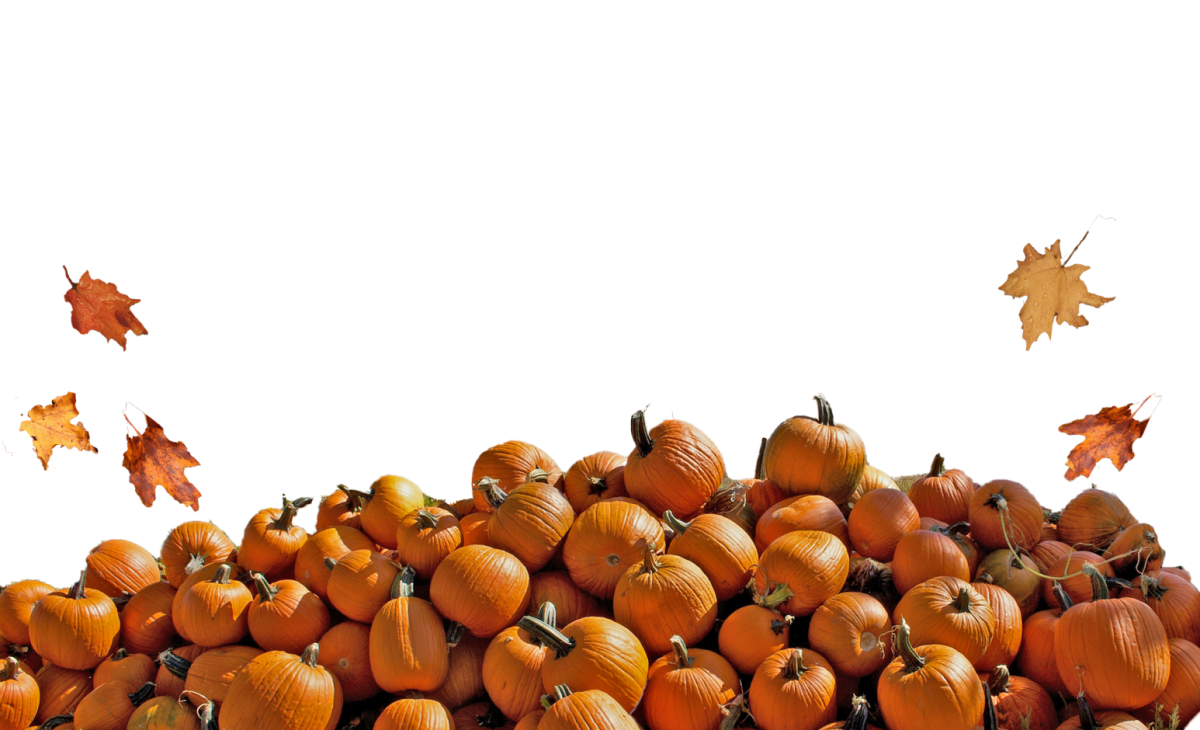 Tricks, Treats and Terror