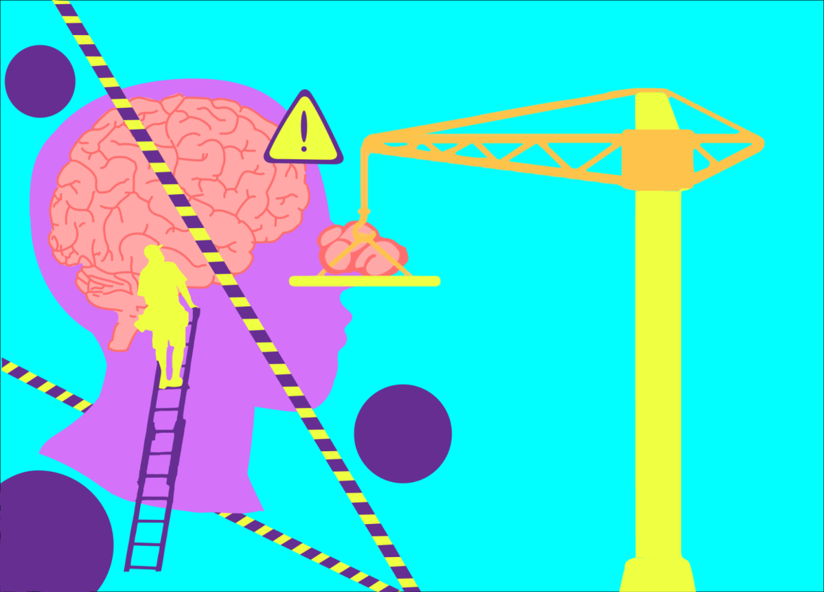 WARNING: Brain Under Construction (Hard Hat Required)